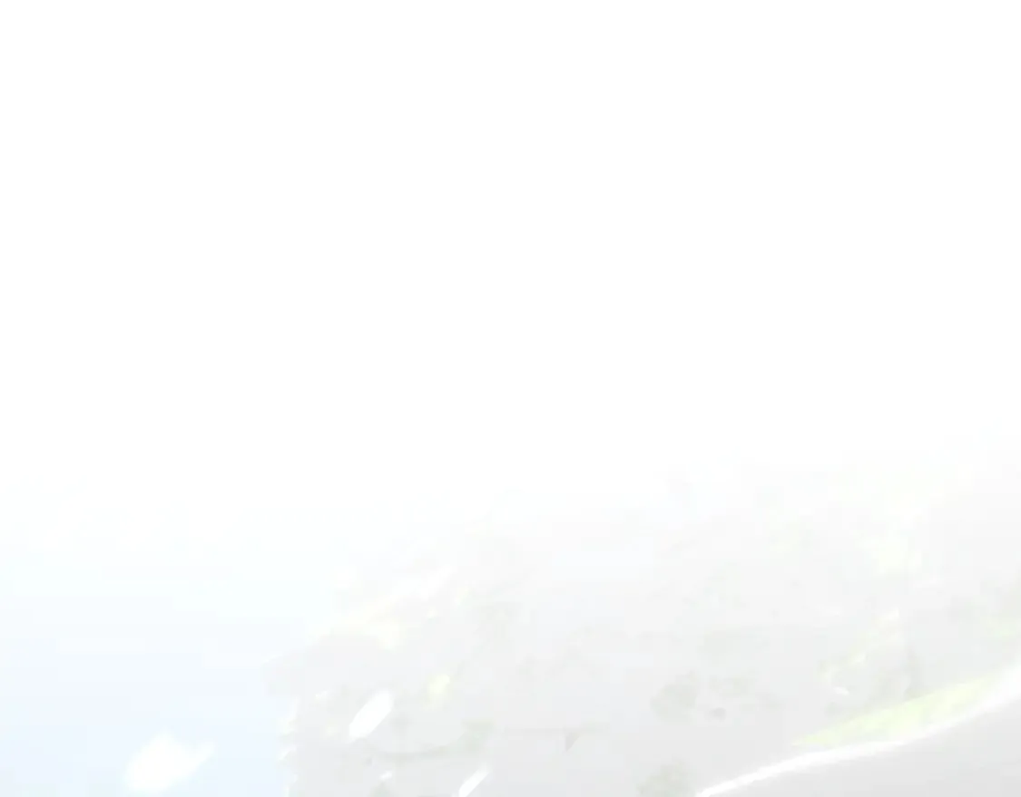 第246页