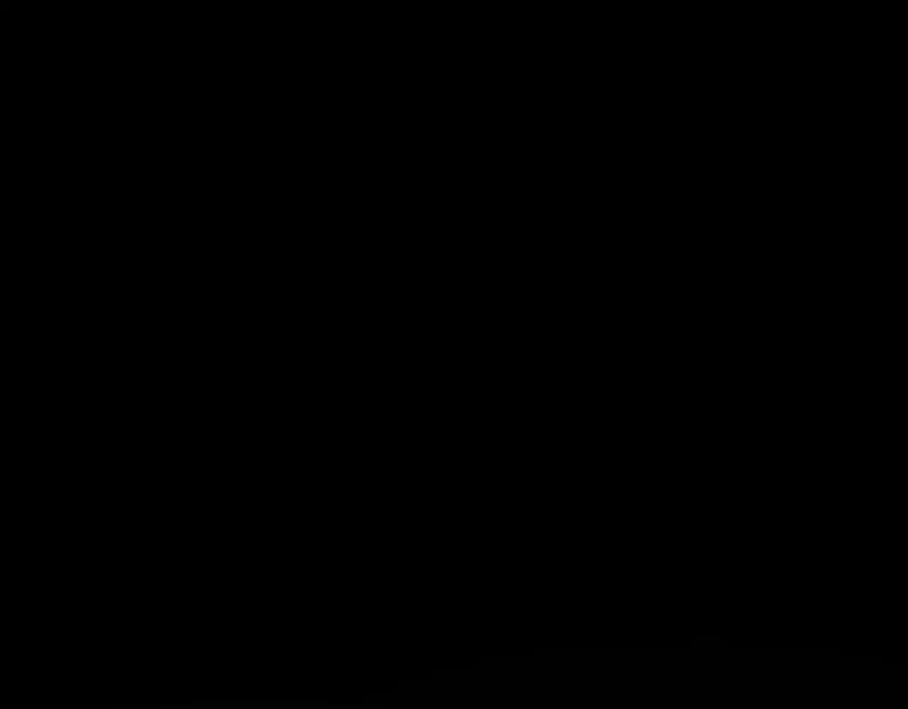第291页