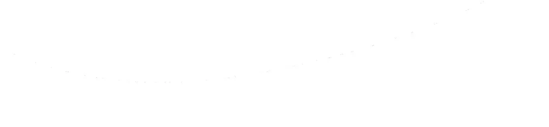 第294页
