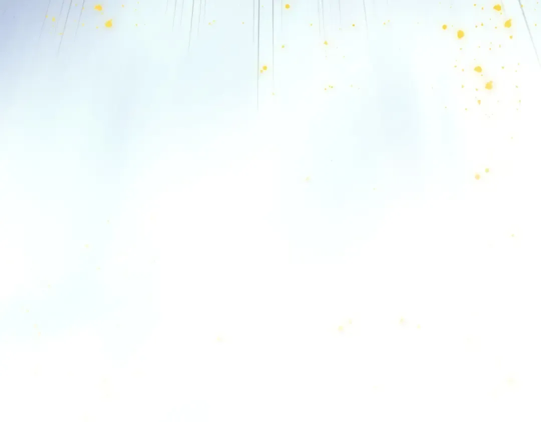 第504页