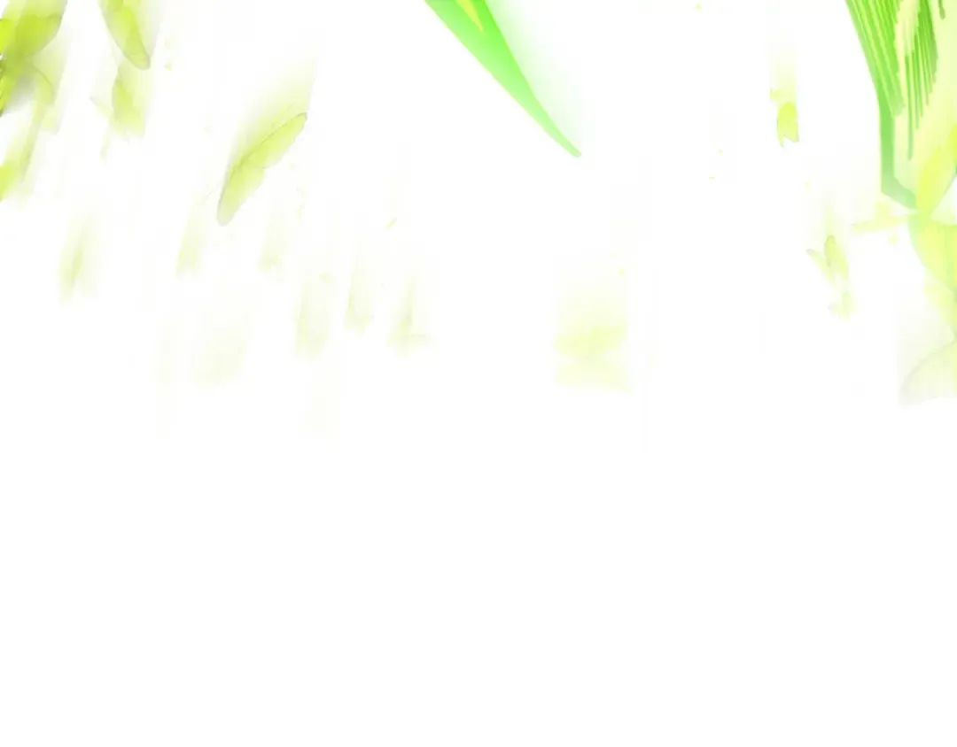第546页