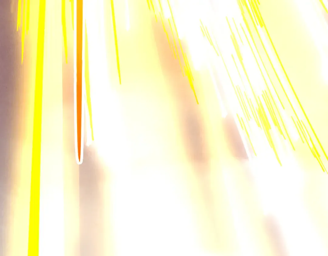 第264页