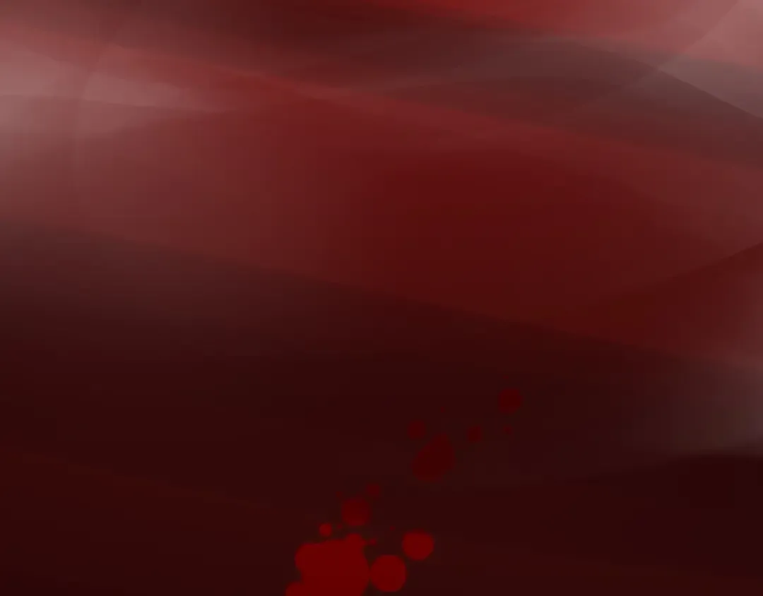 第447页