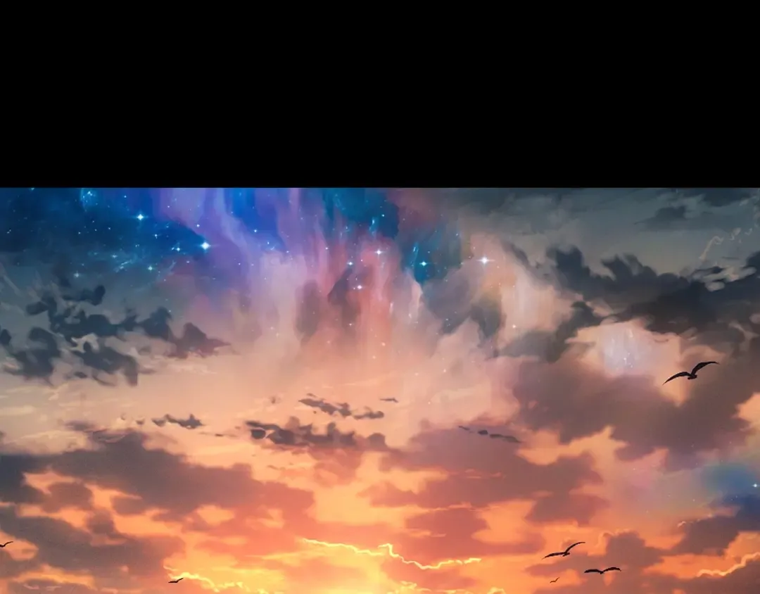 第216页
