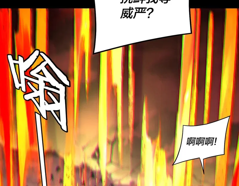 第207页