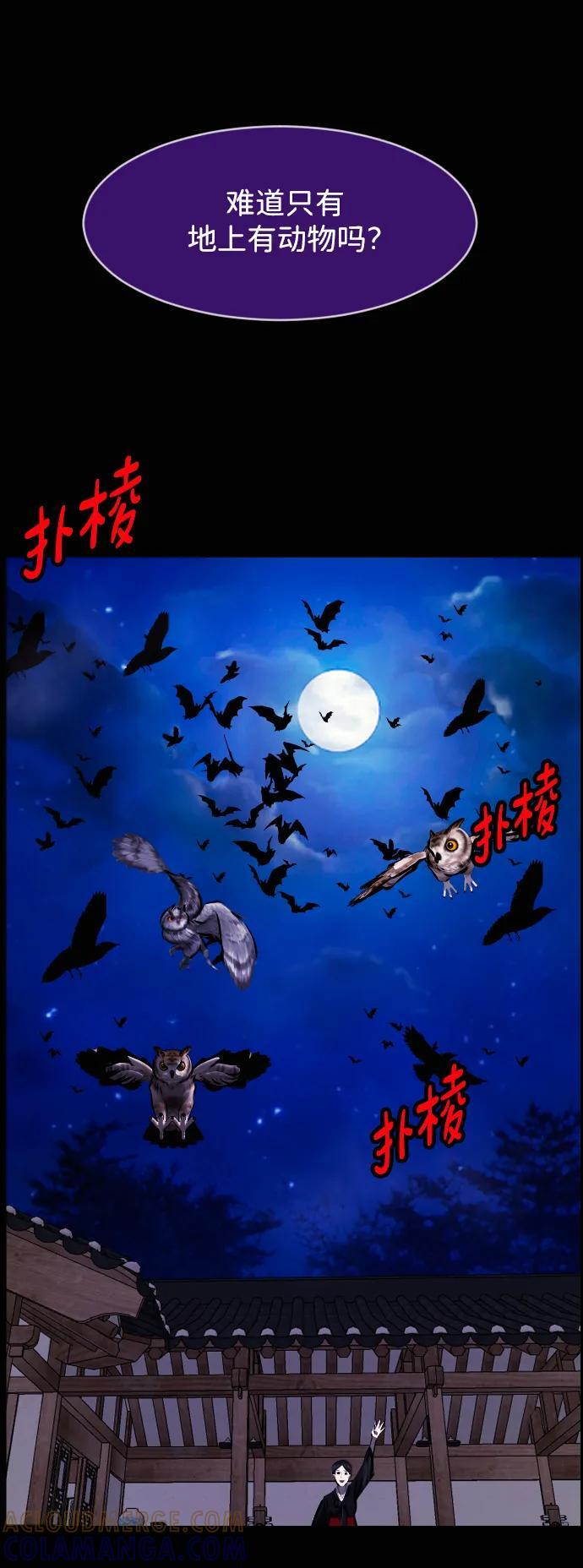 第234页
