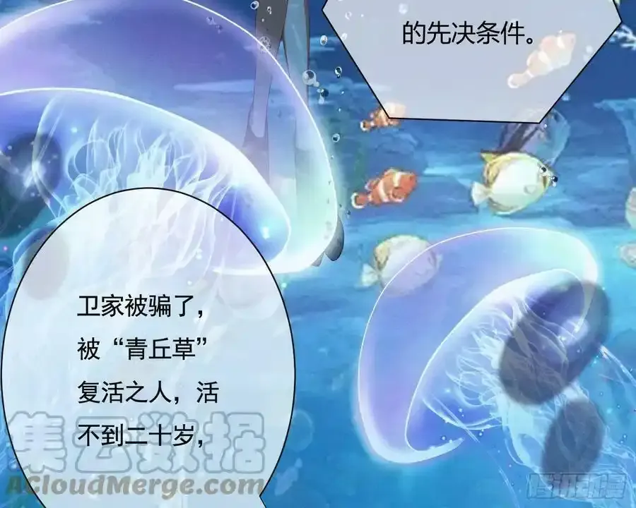 第252页