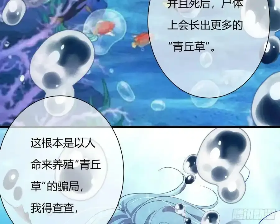 第258页