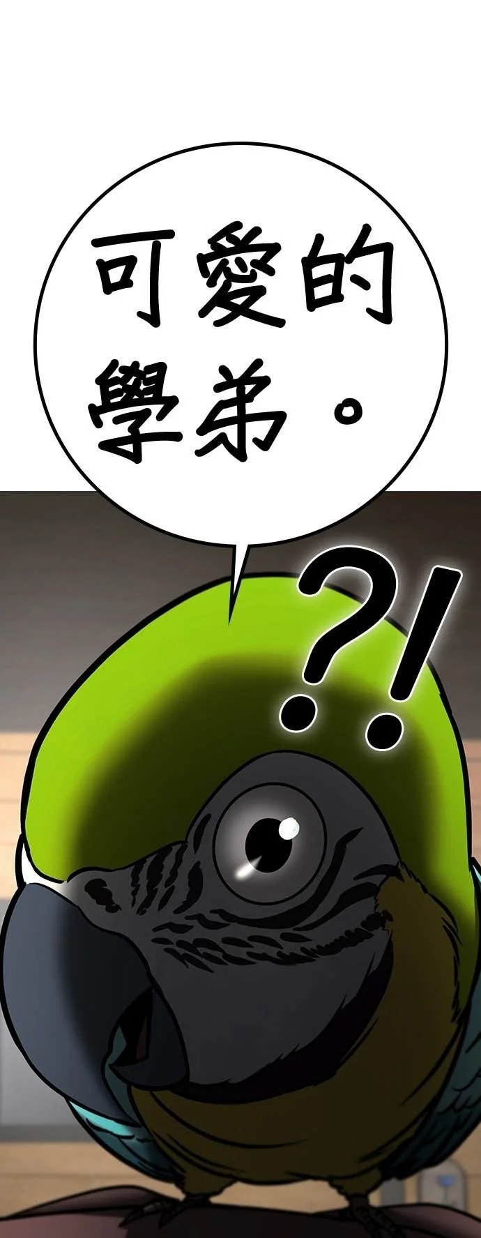 第219页