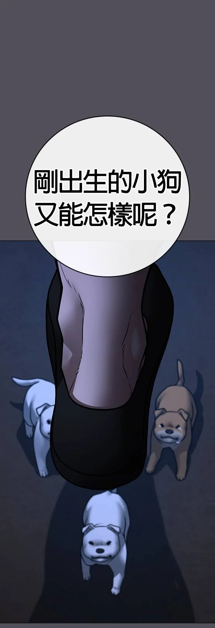 第207页