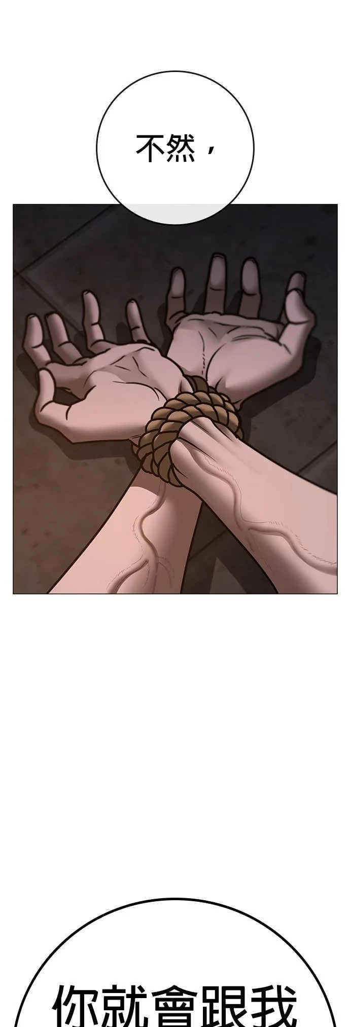 第231页