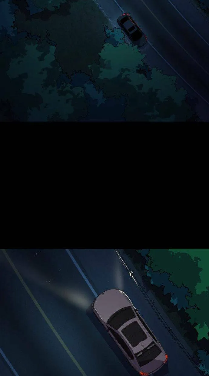 第204页