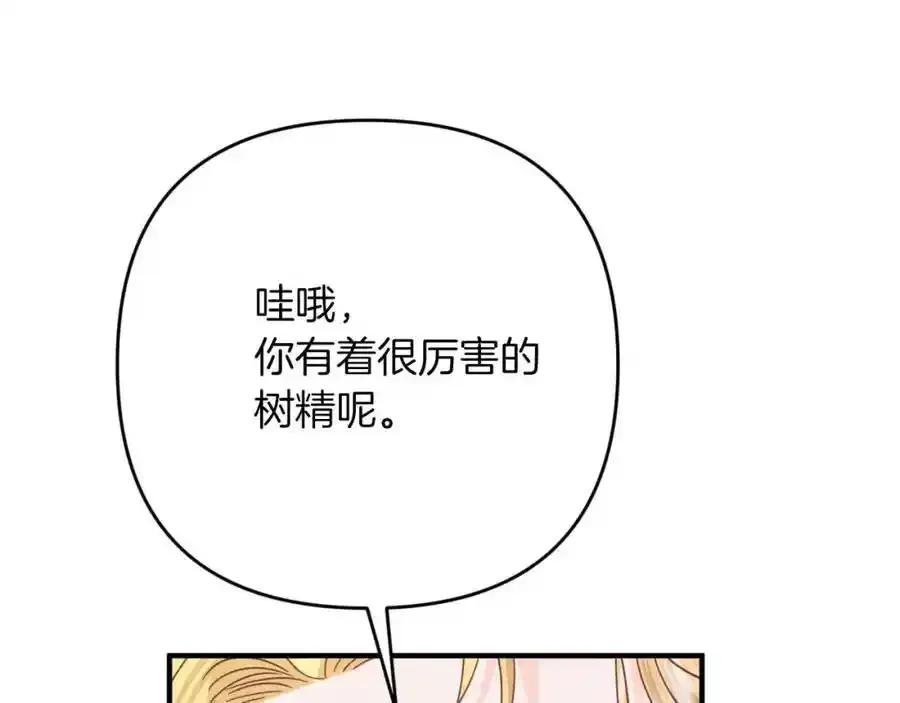 第423页