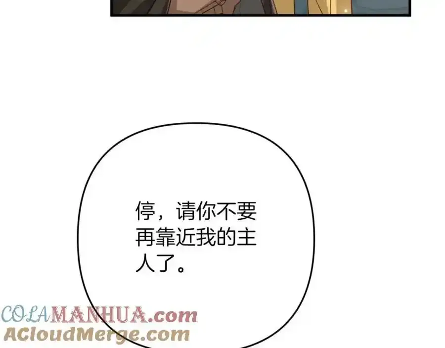 第204页