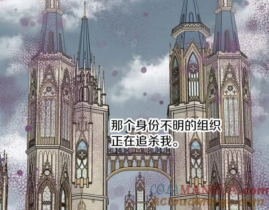 第204页