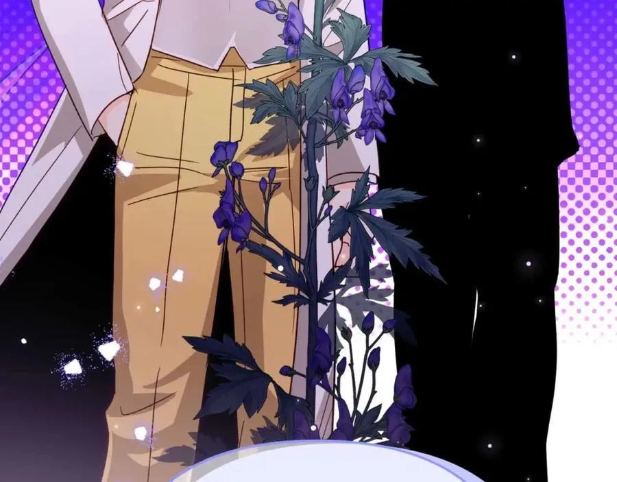 第441页