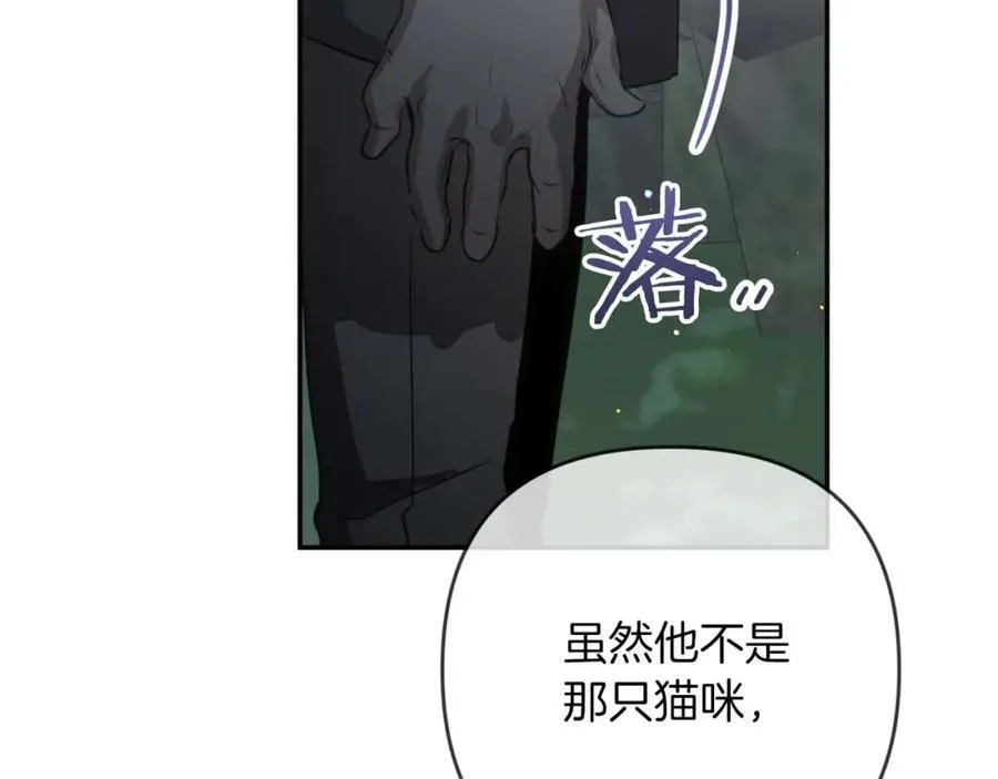 第339页