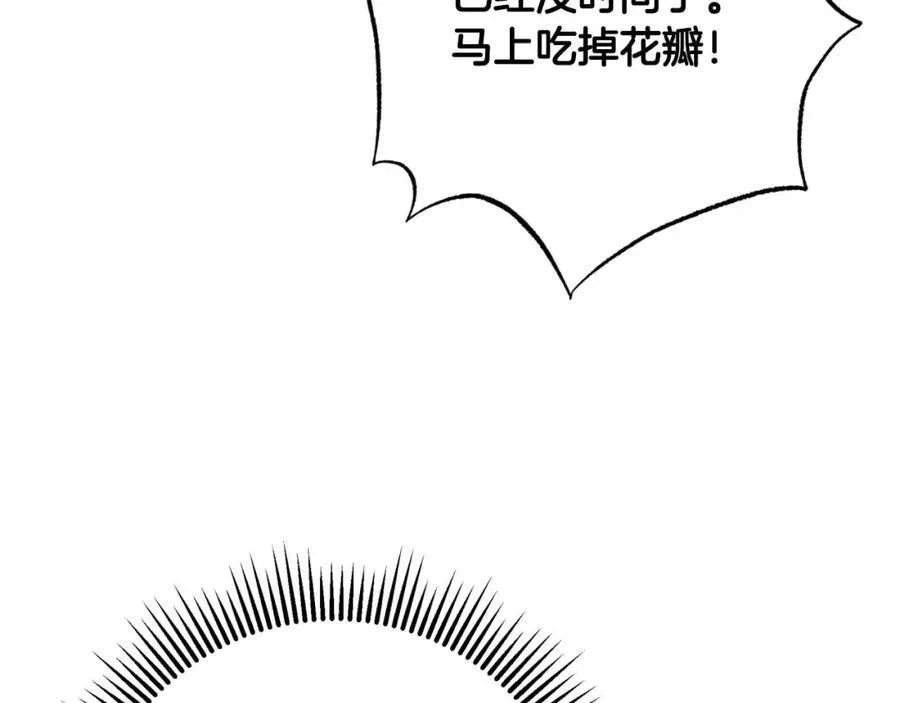第291页