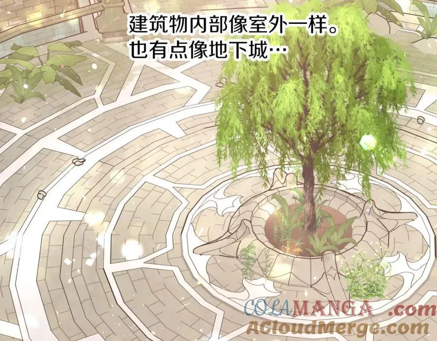 第516页
