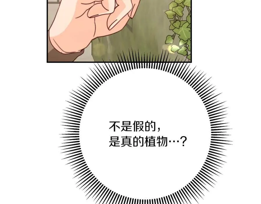 第537页