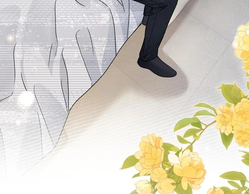 第261页
