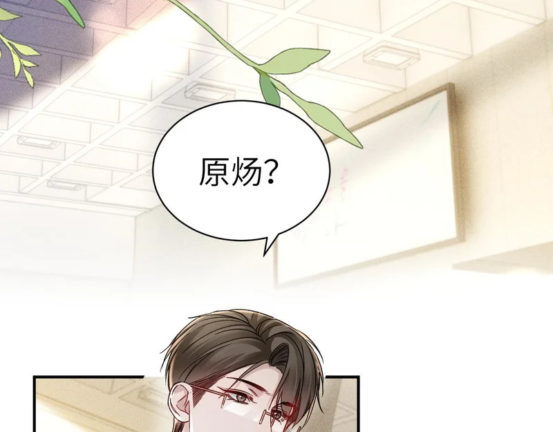 第255页