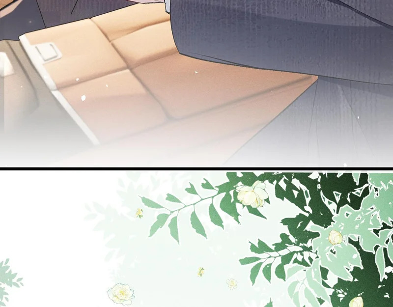 第252页