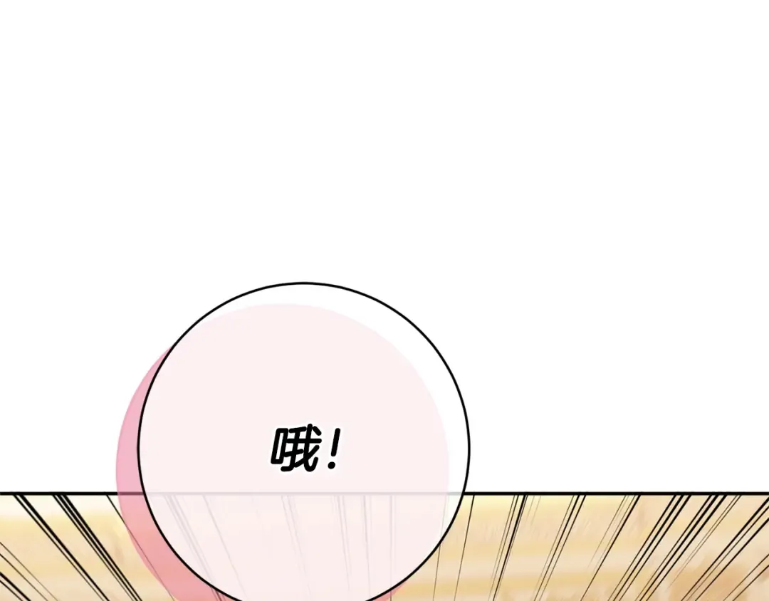 第423页