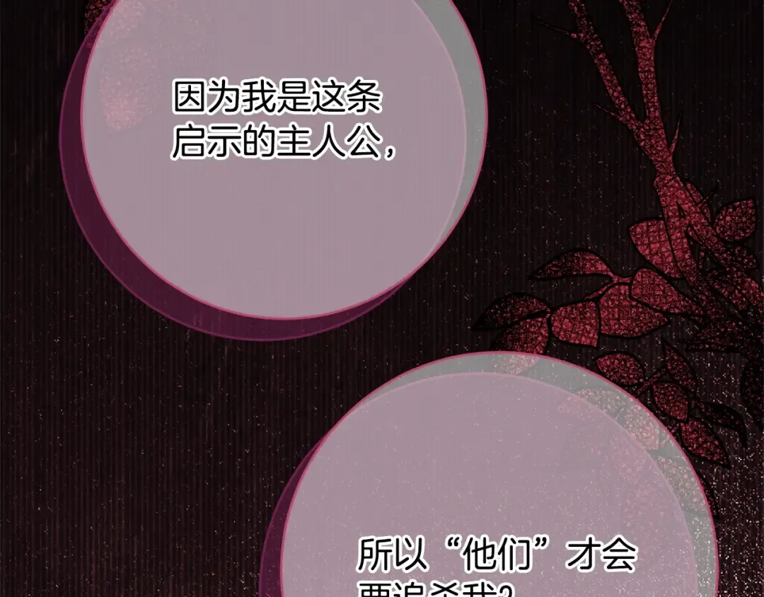 第216页