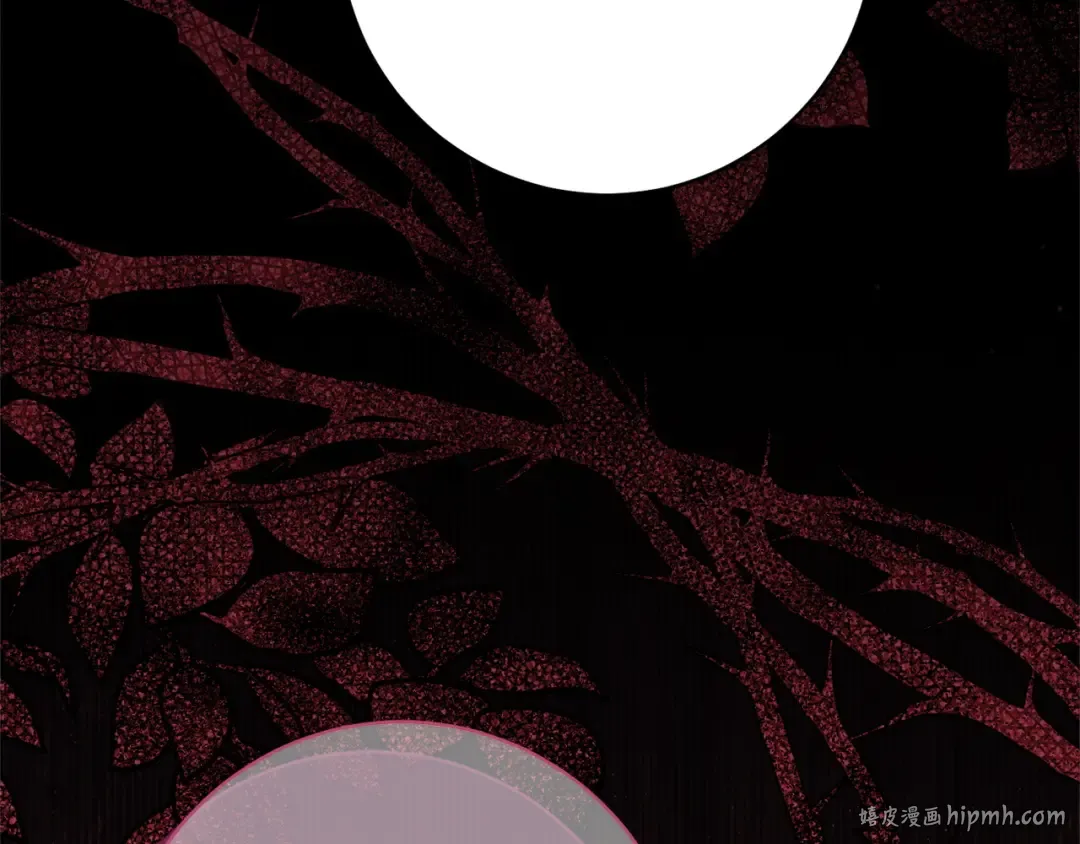 第213页
