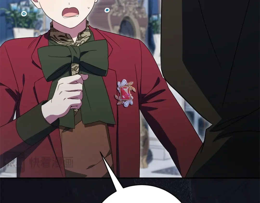 第204页