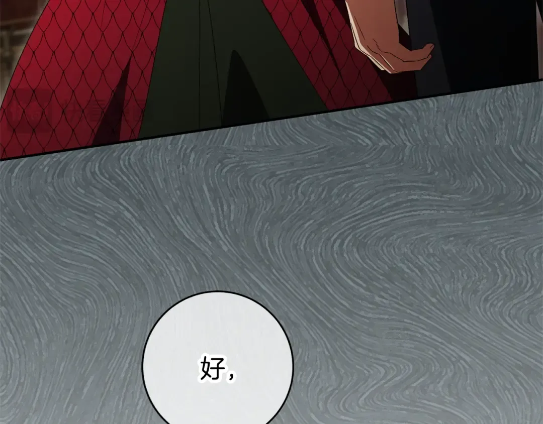 第246页