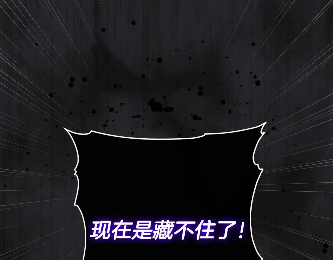 第486页