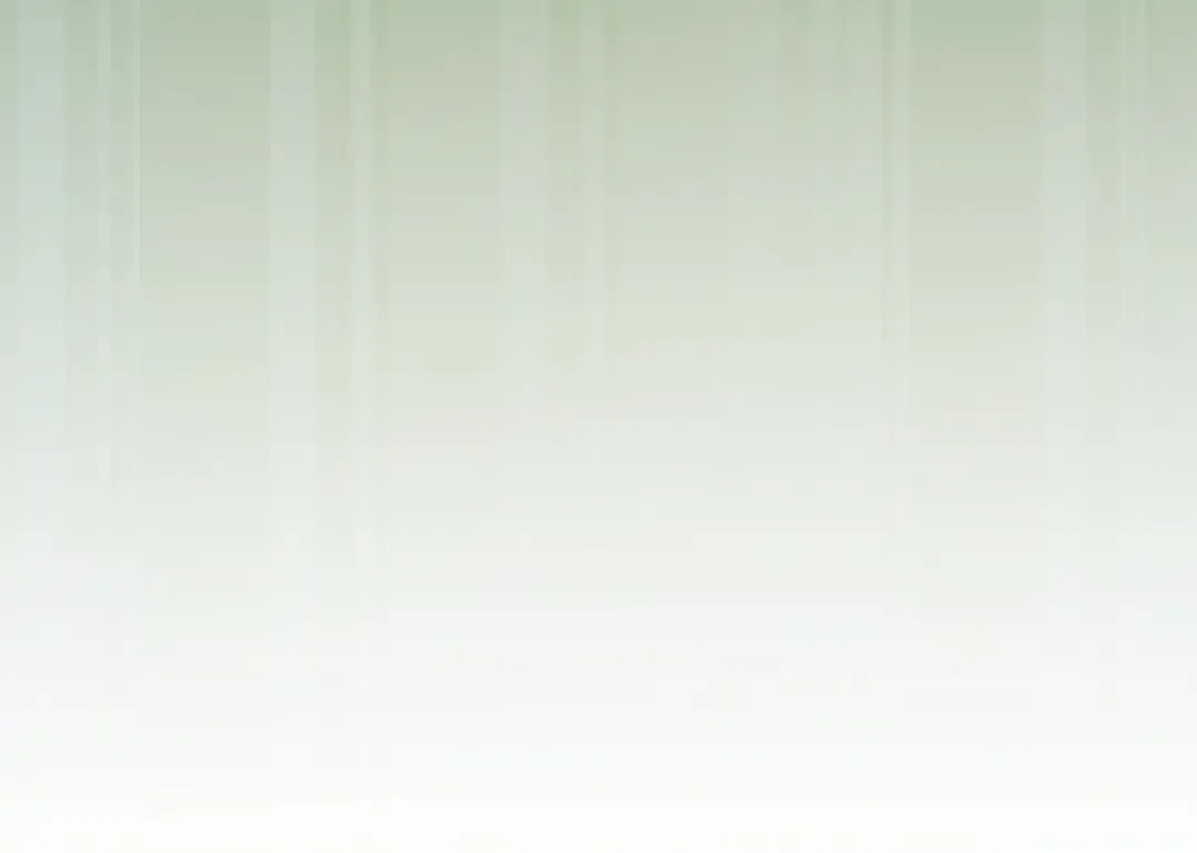 第255页