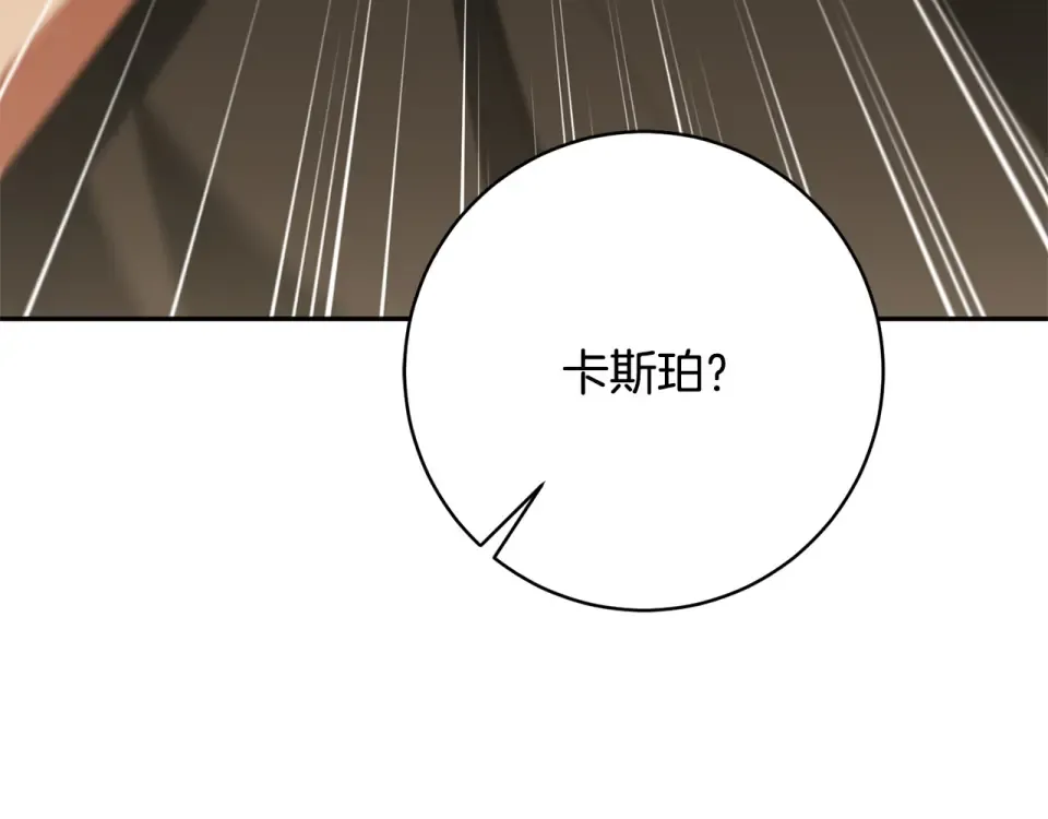 第411页