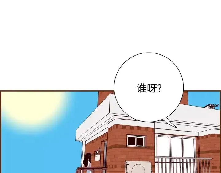 第333页