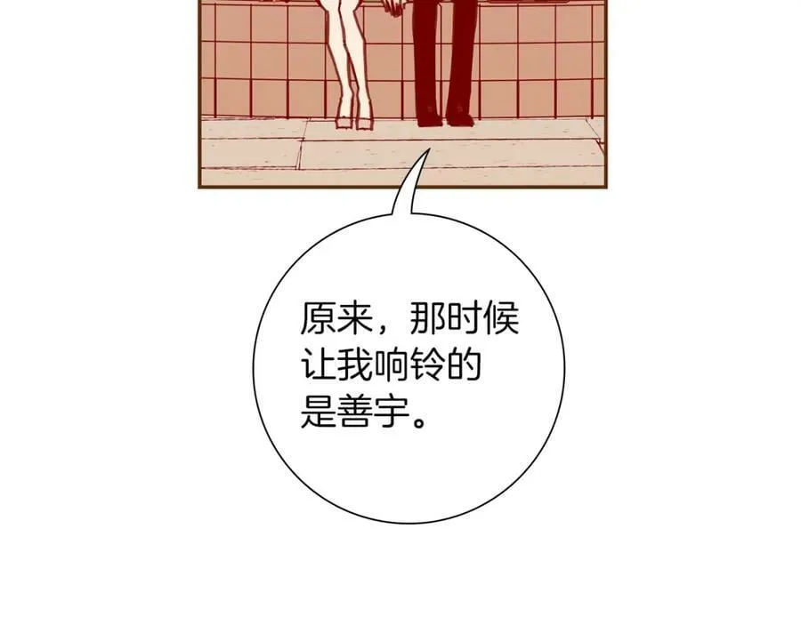 第243页