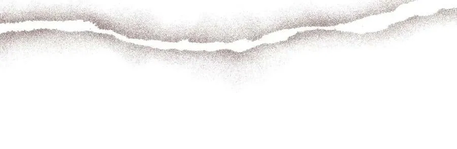 第423页