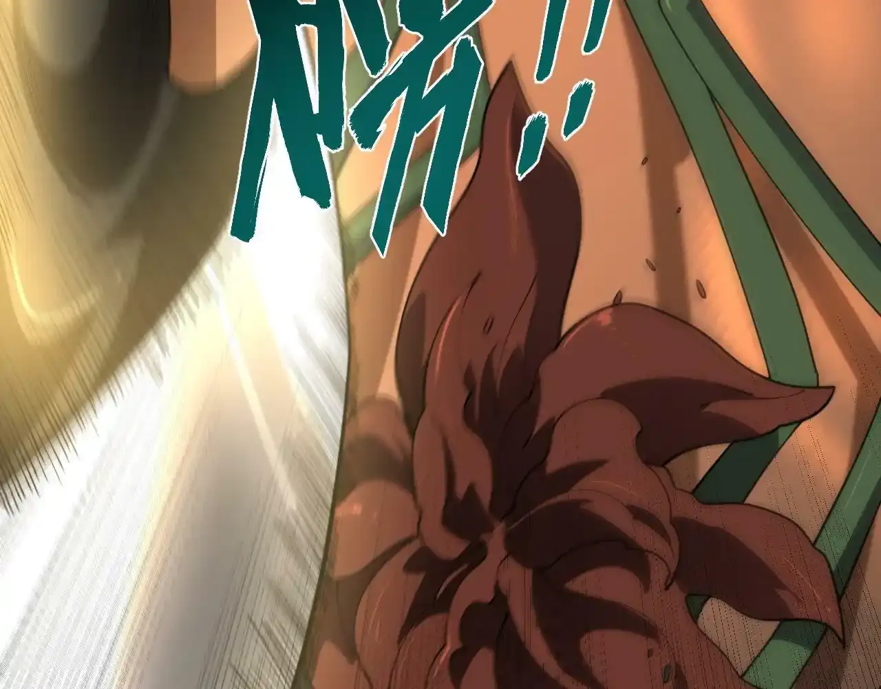第294页