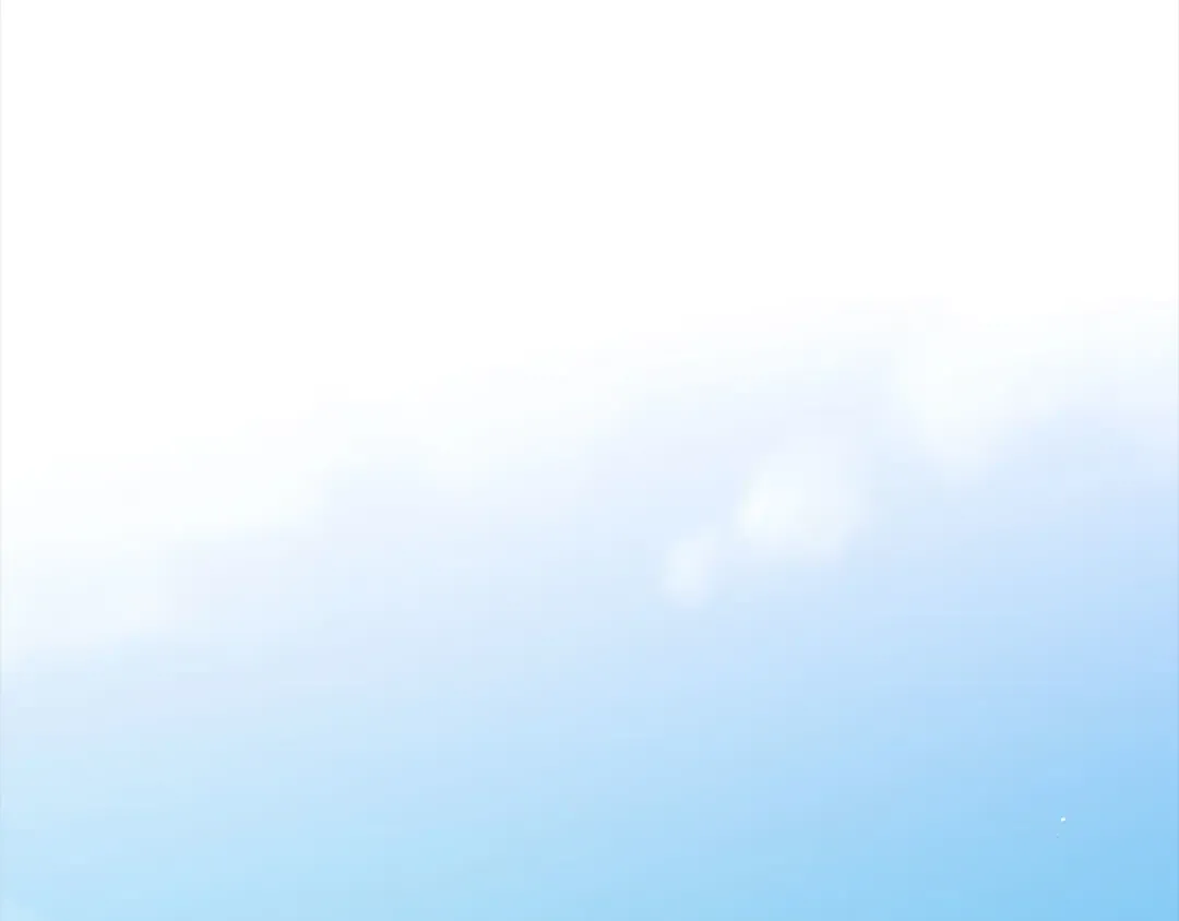 第246页