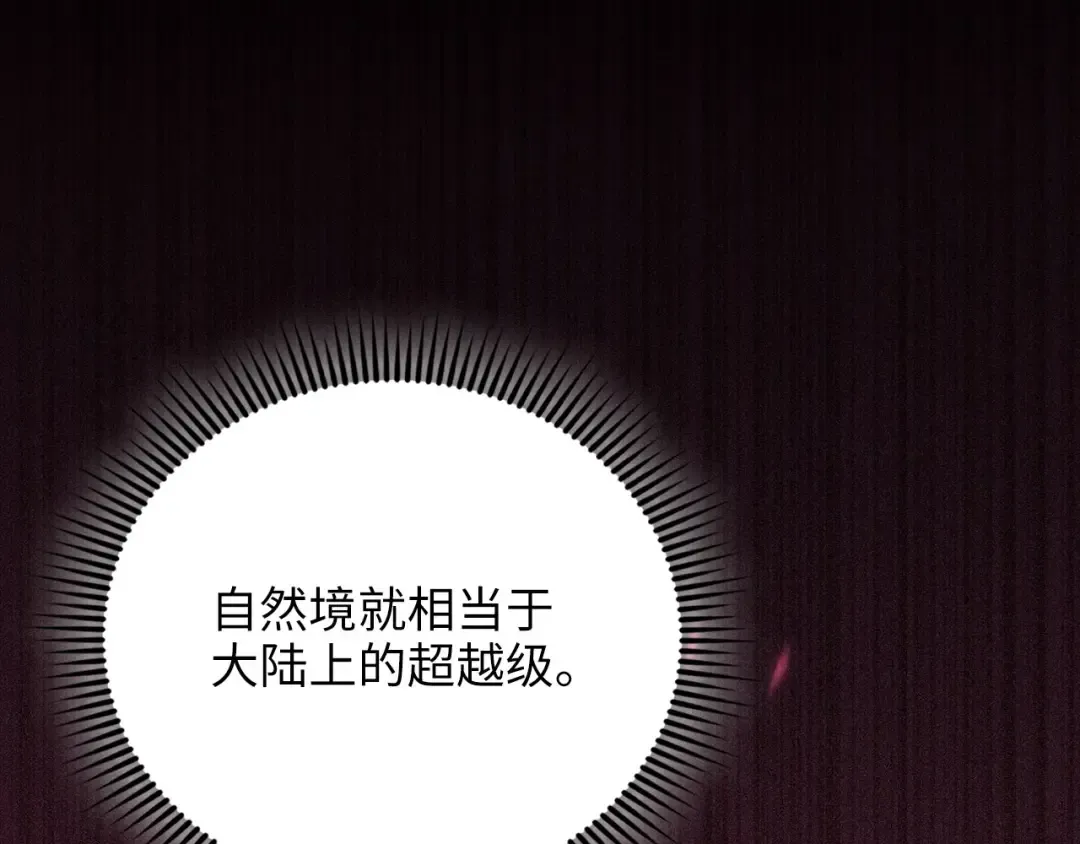 第537页