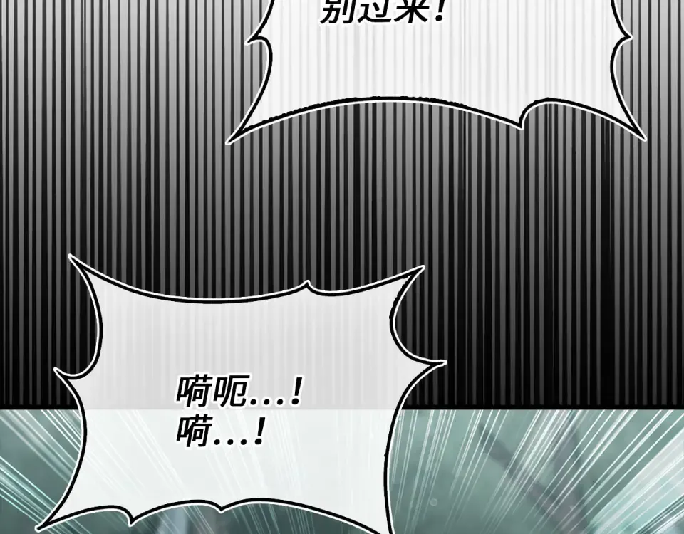 第555页