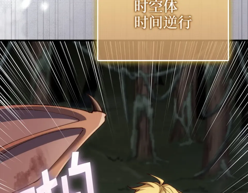 第204页