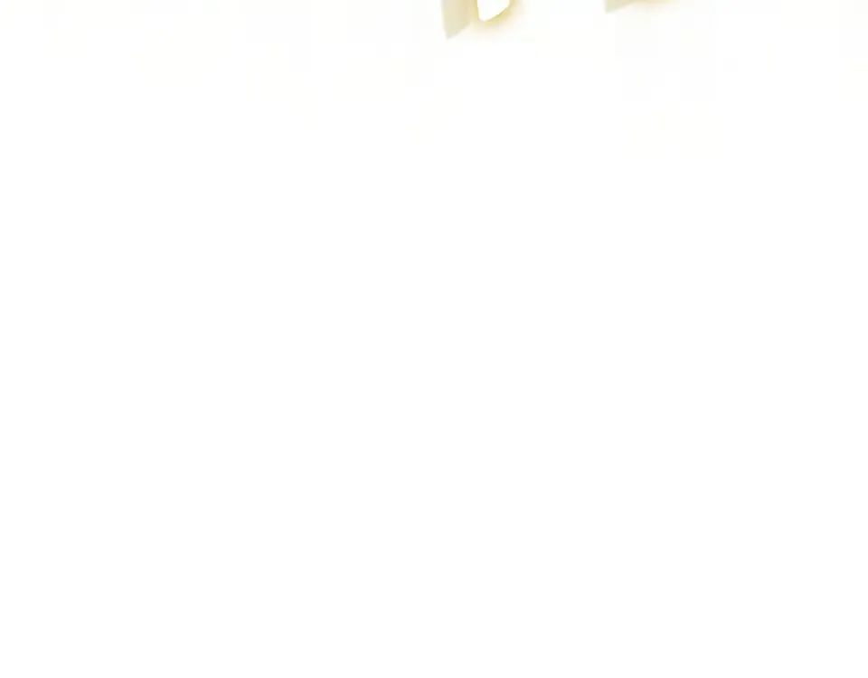 第630页