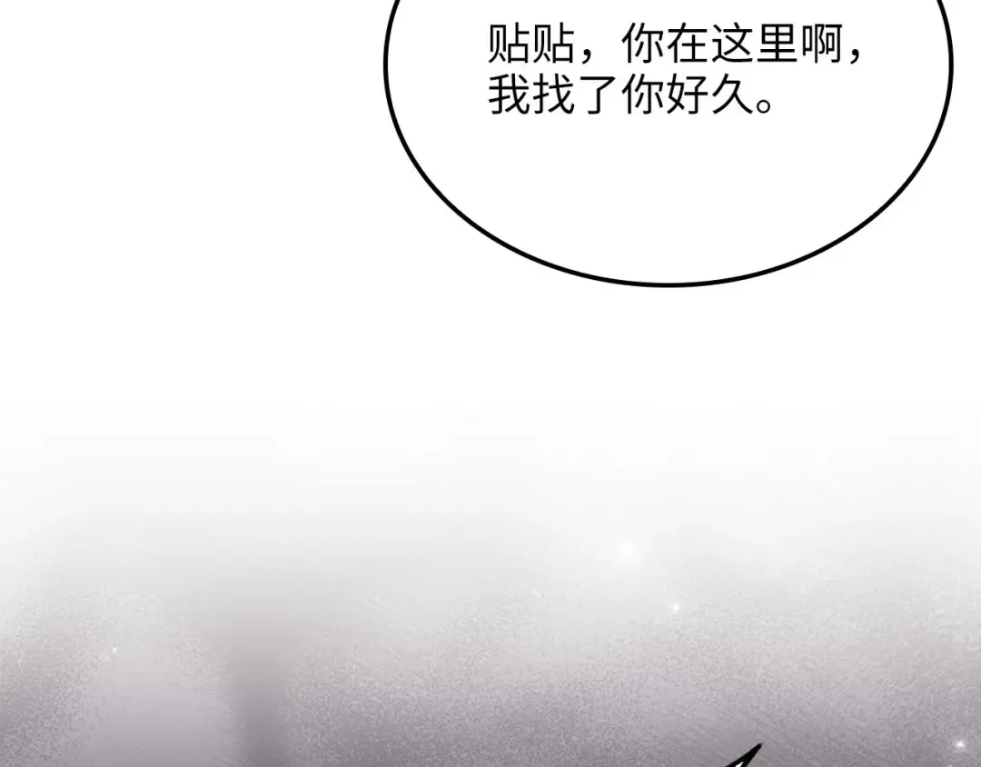 第243页