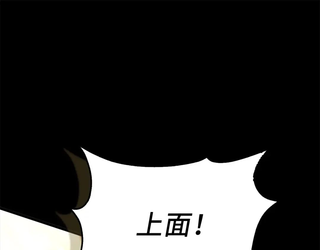 第339页