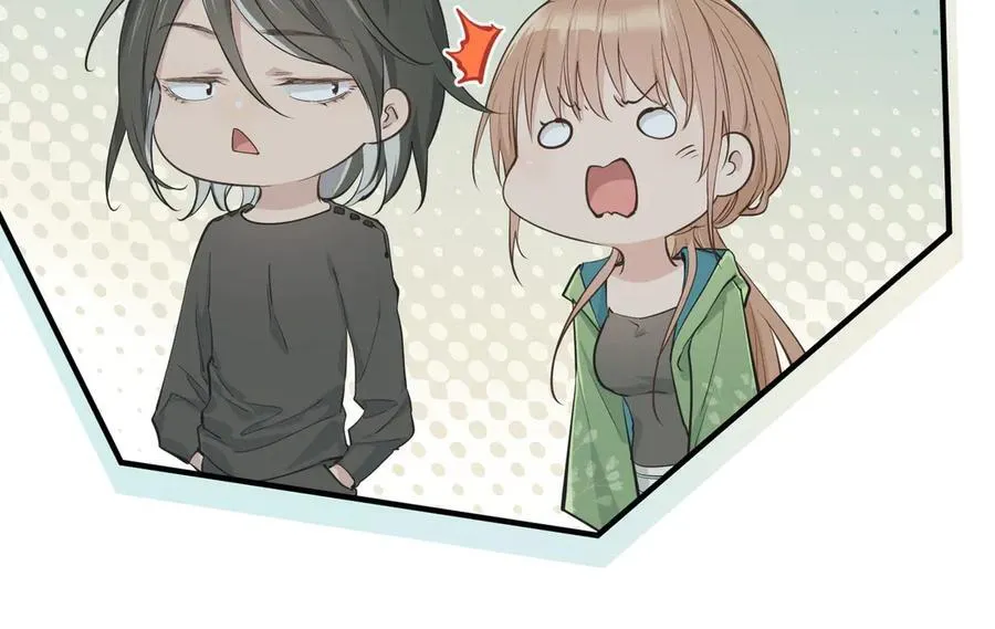第231页
