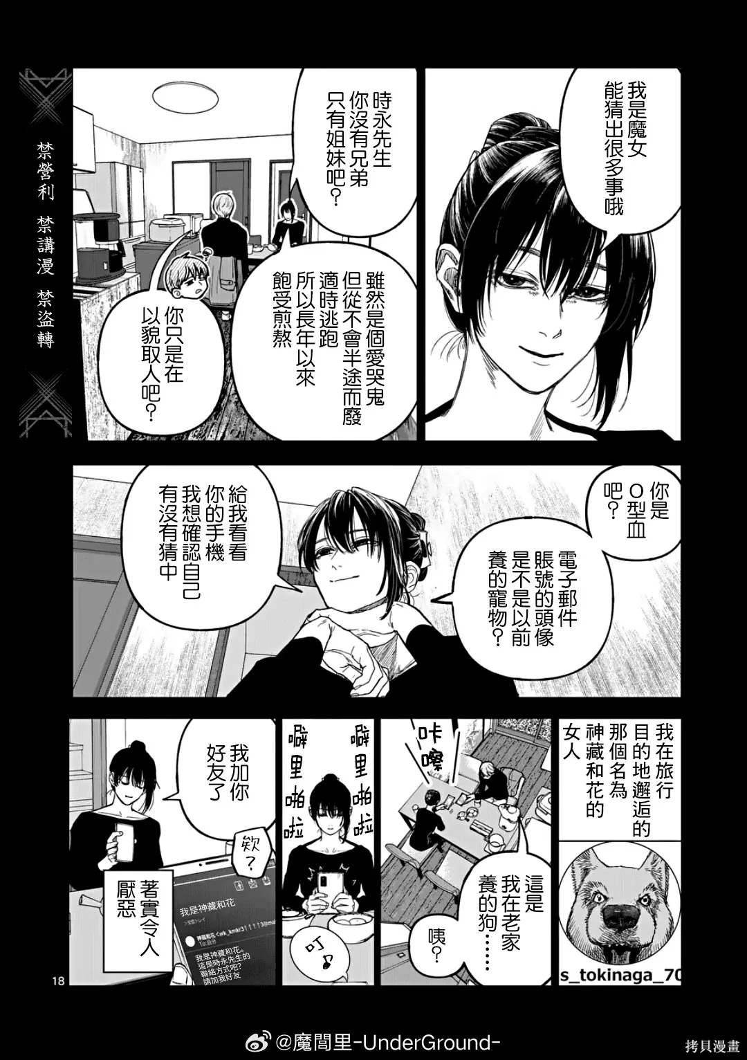 第51页