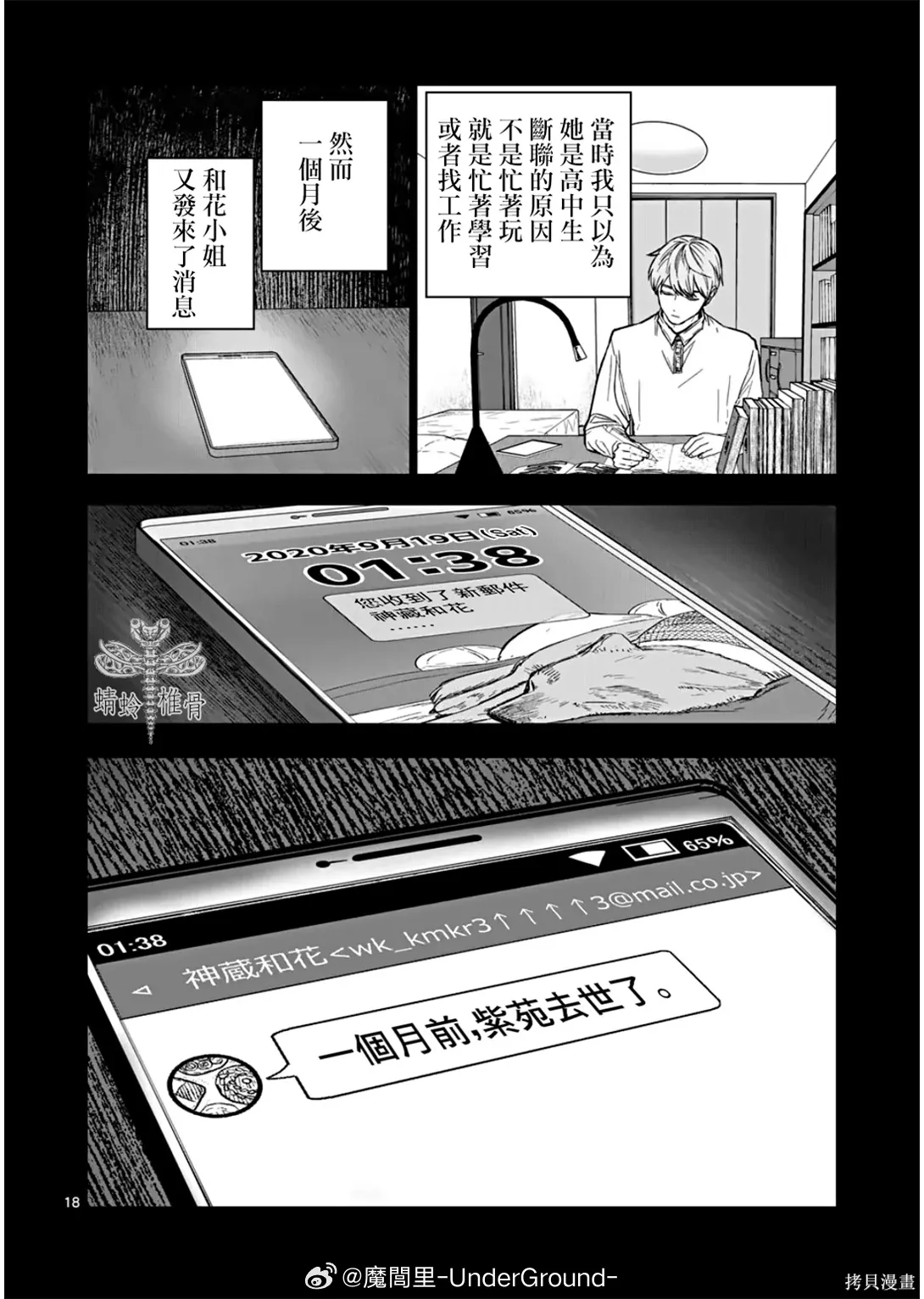 第51页