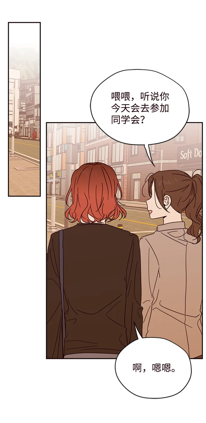 第204页